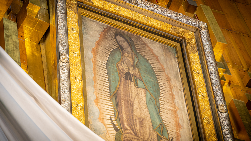 our lady of guadalupe - Saint Ambrose Catholic Parish