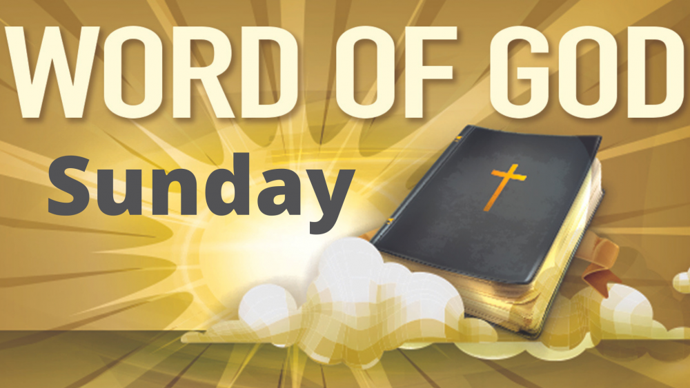 word of god sunday Saint Ambrose Catholic Parish