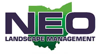 Neo