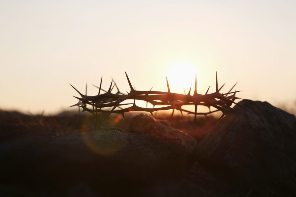 A Meditation on the Passion from a Medical Perspective with Dr. Matt McDaniel