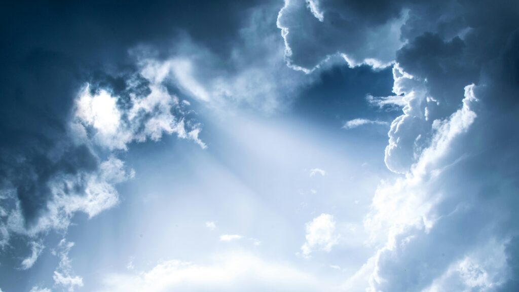 Summer Series: Life Everlasting