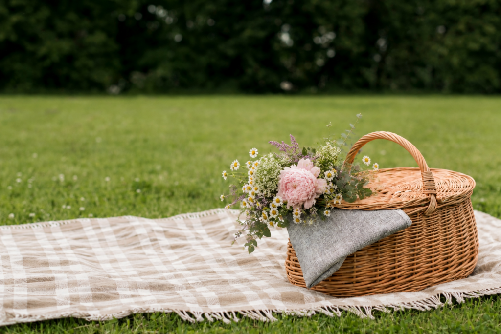 Creation Care - Picnic in the Park